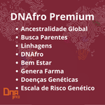 DNAfro Premium - Brafrika
